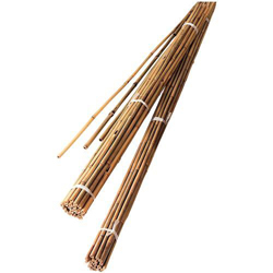 60cm Bamboo Canes ( Pack of 20)