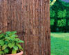 Bark Fence for sale ( Click on the image )
