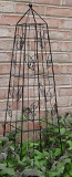 90cm Scrolled Climbing Plant Support