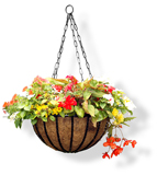 Planter Hanging Basket 30cm (12