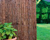 Bark Screen Fence