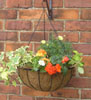 See Hanging Baskets from the Classic Range