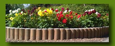 Pack Of 10 New Horizontal Garden Lawn Log Panel Edging 1M X 6 Inch 3 Stakes