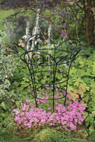 Decorative Garden Perennial Plant Support - Large