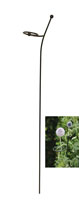 Twisted Single Stem Plant Support