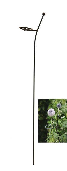 Twisted Single Stem Plant Support