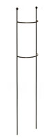 Medium Cottage Garden Plant Column
