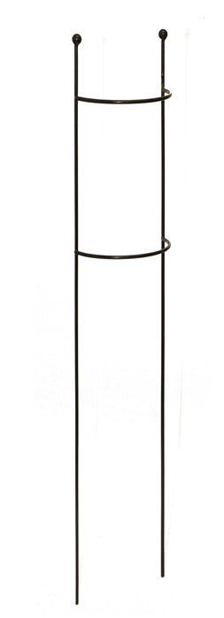 Medium Cottage Garden Plant Column