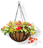 See Hanging Baskets from this range